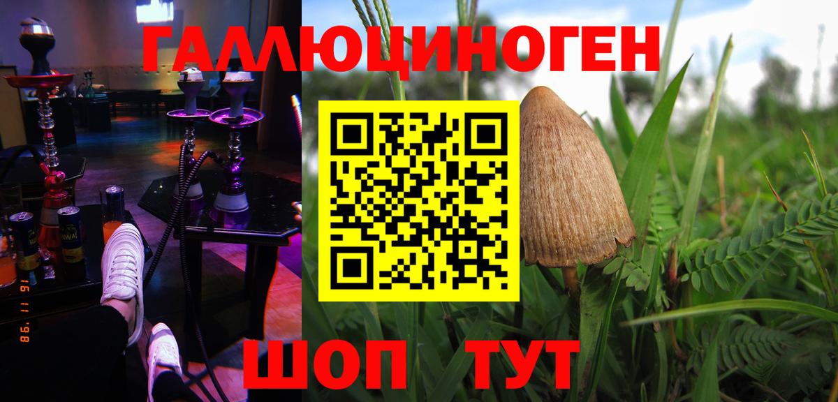 Балтийск  Галлюциногенные грибы Cubensis  Вход с VPN 