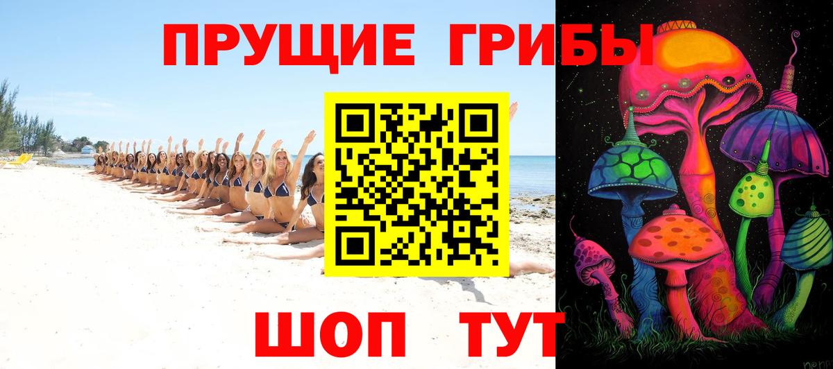 Псилоцибиновые грибы мухоморы Балтийск